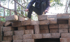 Bắt giữ xe tải vận chuyển 14 phách gỗ lậu