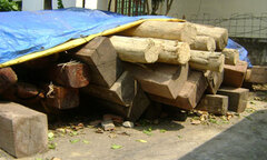 Bắt giữ 2 xe ô tô chở trên 6m3 gỗ lậu