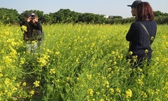 Hà Nội: Kiếm gần 10 triệu đồng/ngày nhờ dịch vụ... chụp ảnh vườn cải