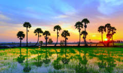  Vietravel khai trương văn phòng tại Châu Đốc