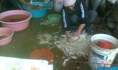 Hãi hùng cảnh giết mổ gia cầm sống tại chợ Hà Nội
