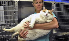 Tận mục những con vật có hình dáng kỳ lạ