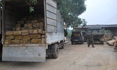 Nghệ An: Ngày cuối năm liên tiếp bắt giữ xe chở gỗ lậu
