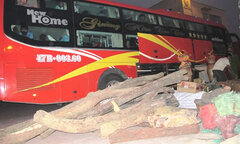 Lâm sản  "đi " xe khách 