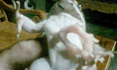 Phát hiện ếch có sáu chân