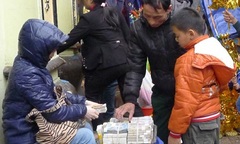 Đền chùa vẫn ngập tiền lẻ