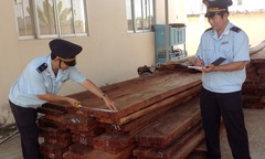 Đồng Tháp: Bắt giữ  5 m³ gỗ lậu