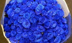 Hoa hồng bạc triệu  "cháy hàng " dịp 14/2