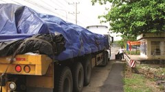 Bài học đắt giá từ Trạm cân Dầu Giây