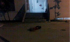 Giết người yêu rồi tự tử trong đêm Valentine