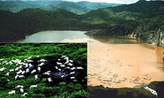 Bí ẩn  "đám mây giết chết nghìn người " giữa hồ nước