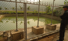  Tin lời... bà điên, cả làng hì hục bốc đất bẩn