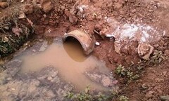 Hà Nội: Đi làm đồng, phát hiện sọ người bọc trong túi nilon