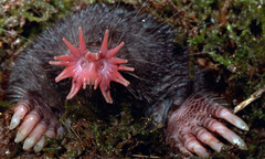 Khám phá những cỗ máy tính khủng nhất thế giới