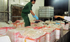 1,6 tấn phụ phẩm trâu, bò thối tuồn vào TP. HCM