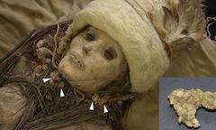 Miếng pho mát 3.600 năm tuổi trên xác ướp cổ đại