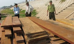  An Giang: Bắt giữ 70 mét khối gỗ lậu