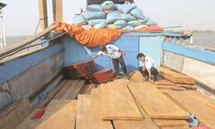 Chặn đứng vụ nhập lậu gỗ trên sông Tiền