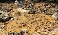 Quảng Trị: “Vàng tặc” lộng hành, chính quyền bất lực