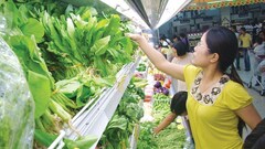 Đường dây tuồn rau không nguồn gốc vào siêu thị lớn 