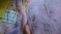 Lấy mẫu sinh trùng 'nở' từ khăn lông 'made in China'