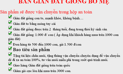 Nhập lậu cả gián đất về nuôi