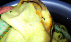 Đã có kết quả xét nghiệm vụ khăn tắm nở ra ấu trùng lạ