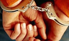 Lâm Đồng: Tạm giam nhóm lâm tặc hành hung, trả thù bảo vệ rừng