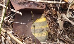 Đắk Nông: Quả bom nằm trong rẫy 7 tháng vẫn chờ xử lý