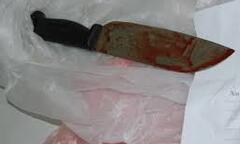 Tiền Giang: Ghen tuông mù quáng, giết mẹ vợ