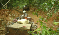 Lâm tặc ngang nhiên phá rừng giữa ban ngày