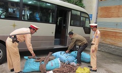 Quảng Bình: Phát hiện xe khách chở gỗ trái phép