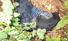 Rủ bạn ra vườn cà phê chụp ảnh để...hiếp dâm