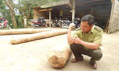 Nổ súng uy hiếp nhóm lâm tặc hung hãn