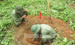 Công binh Việt Nam nỗ lực quét sạch  "cái chết dưới lòng đất "