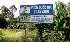 Khởi tố 4 đối tượng trộm tại Vườn quốc gia Tràm Chim