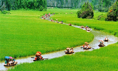 Những cánh đồng đẹp mê hồn ở miền Bắc