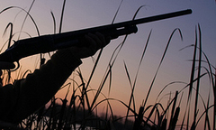 Bắn chết bạn săn vì nhầm là...thú rừng