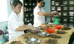 TP HCM: Phát hiện cán bộ y tế bán thuốc và khám bệnh không phép