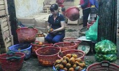 Kỹ nghệ “hồi sinh” hoa quả thối