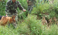 Bảo vệ biên giới là trách nhiệm của toàn dân