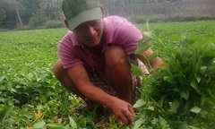 13 năm giúp con cai nghiện tại nhà