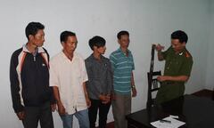 Bắt nhóm đối tượng cưa trộm sưa trong vườn ươm