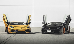 Diện kiến bộ đôi siêu xe Lamborghini Aventador đẹp nhất thế giới