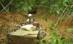 Kỷ luật 5 cán bộ kiểm lâm vì để lâm tặc “xẻ thịt” rừng