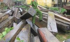 TP HCM: Phá đường dây xuất lậu gỗ quy mô lớn