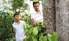 Mất cả tỷ đồng vì 'tiêu tặc', nông dân mắc võng ngủ canh