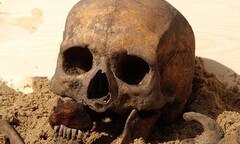 Điểm mặt những phát hiện xương ma cà rồng gây sốc nhất