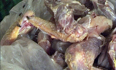 Phát hiện 120kg thịt gà thối trong tủ lạnh quán cơm