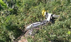 Nghệ An: Phát hiện thi thể nam thanh niên bên bờ ruộng